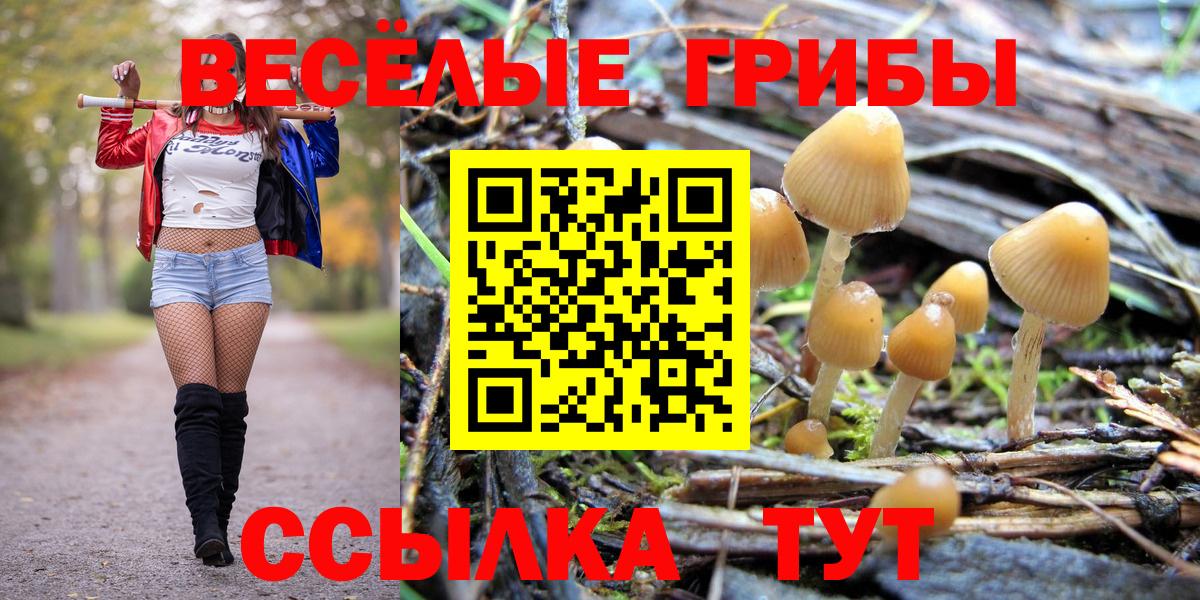 Гусиноозёрск  Галлюциногенные грибы GOLDEN TEACHER  Вход с VPN 