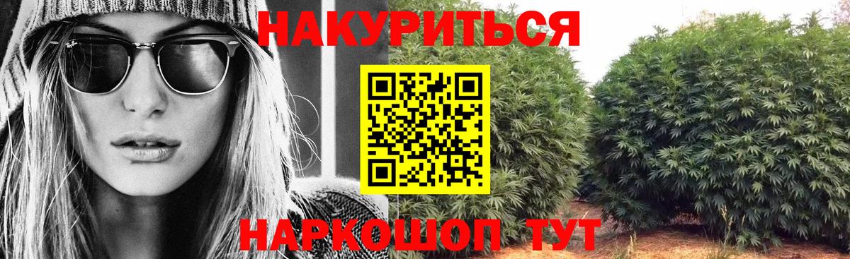 Бошки Шишки VHQ  Каннабис план  Вход с VPN  Конопля индика  Шишки марихуана сатива  Гусиноозёрск 